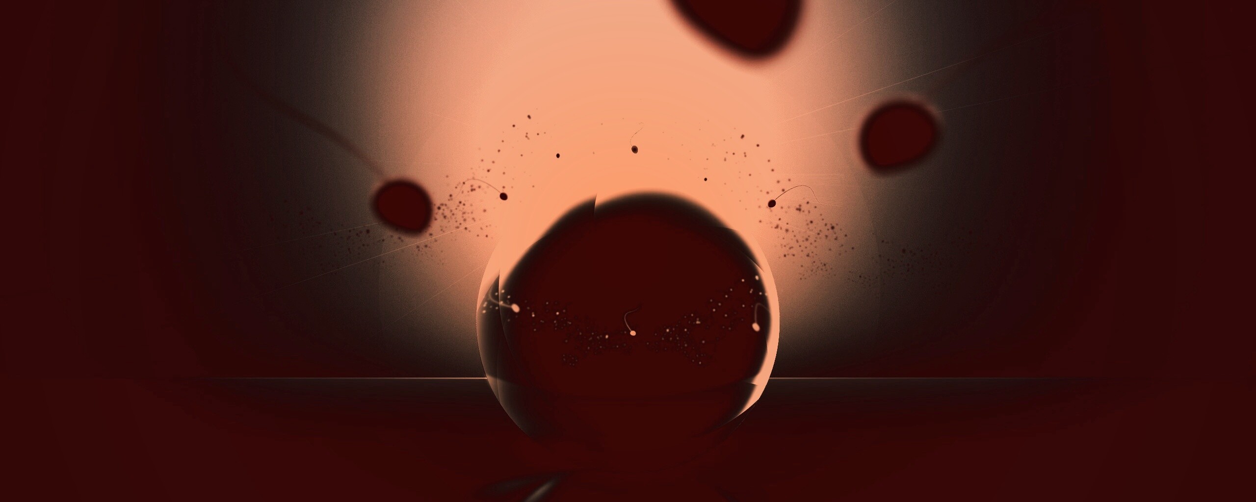 Оплодотворение обои