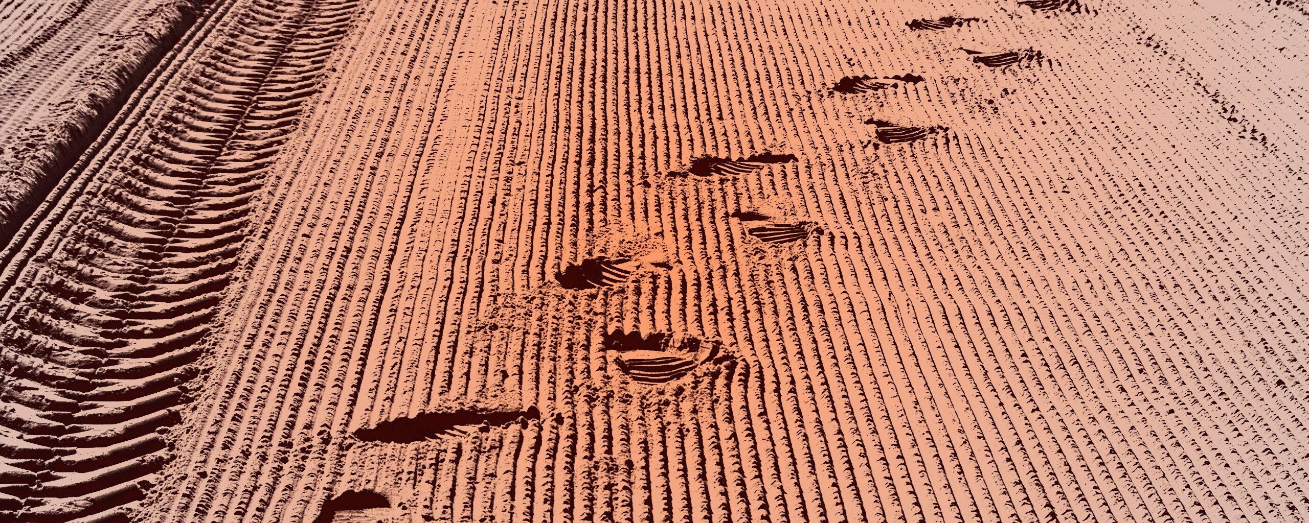 Следы на песке обои