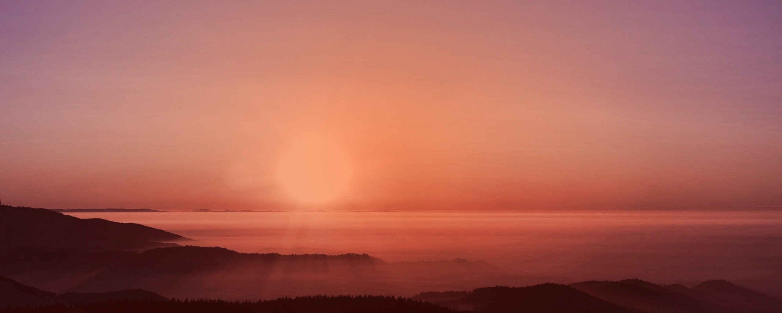 Восход солнца над лесом обои