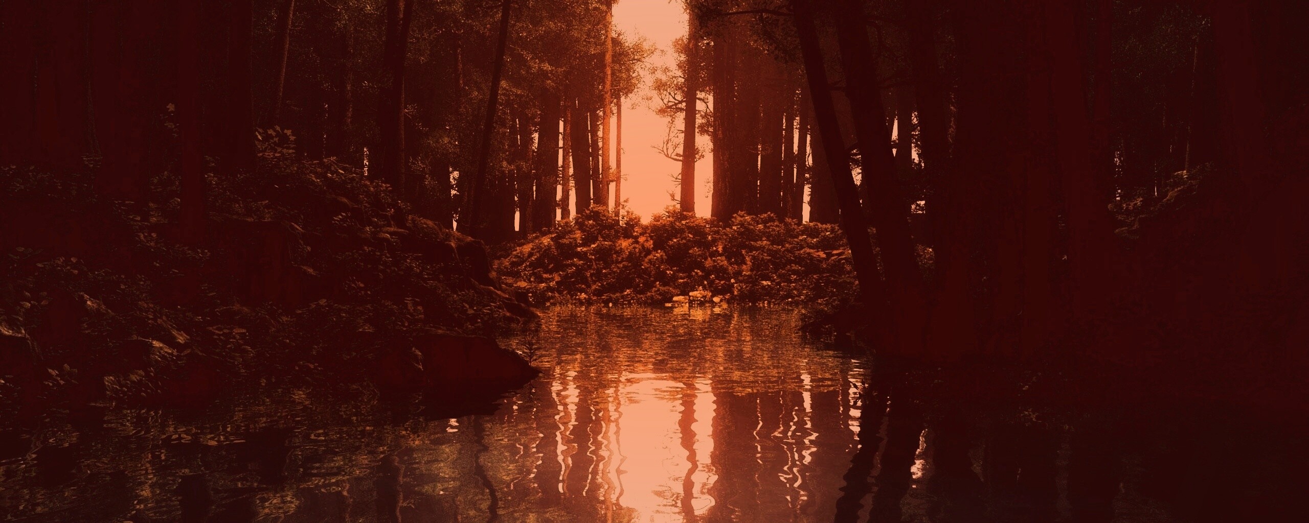 Болото в лесу обои