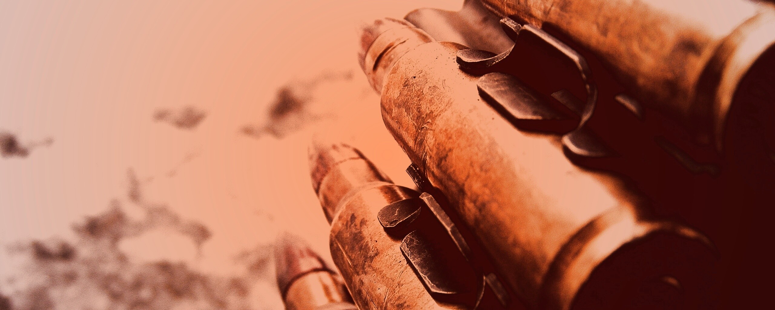 Патронник обои