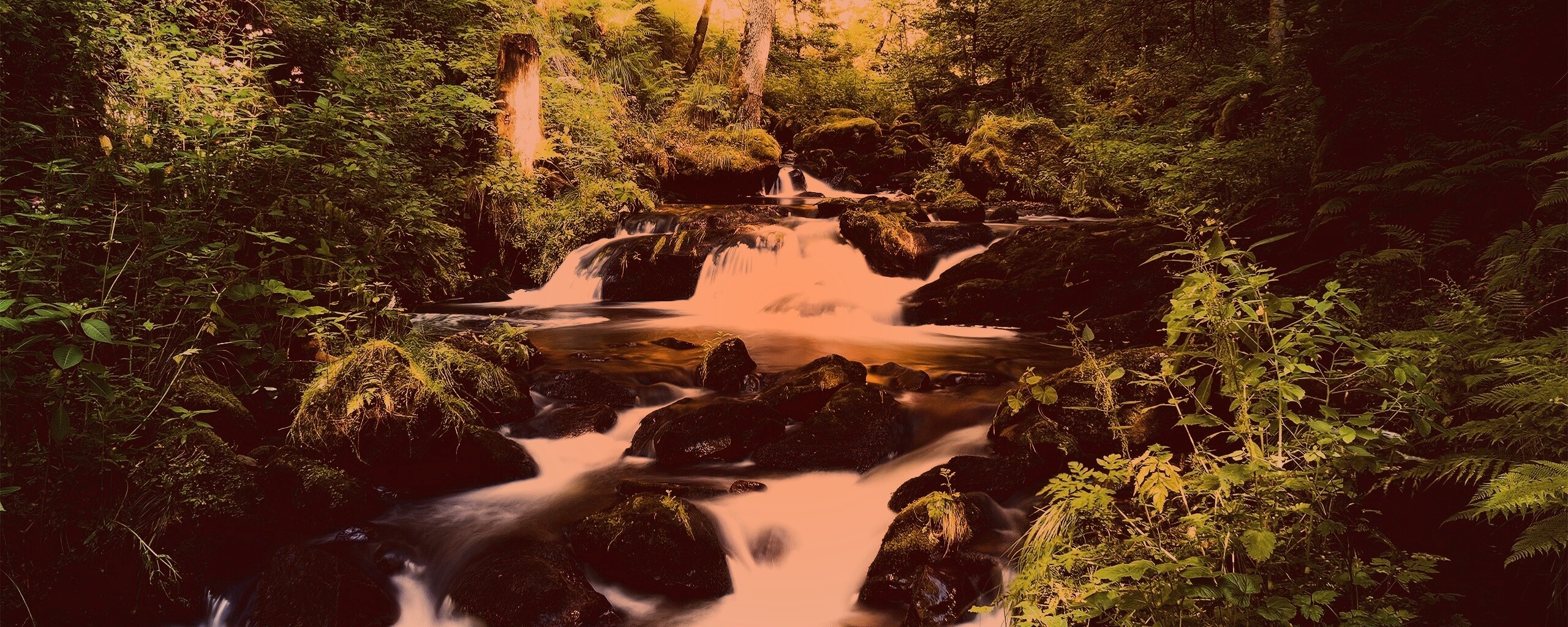 Живописный лесной водопад обои