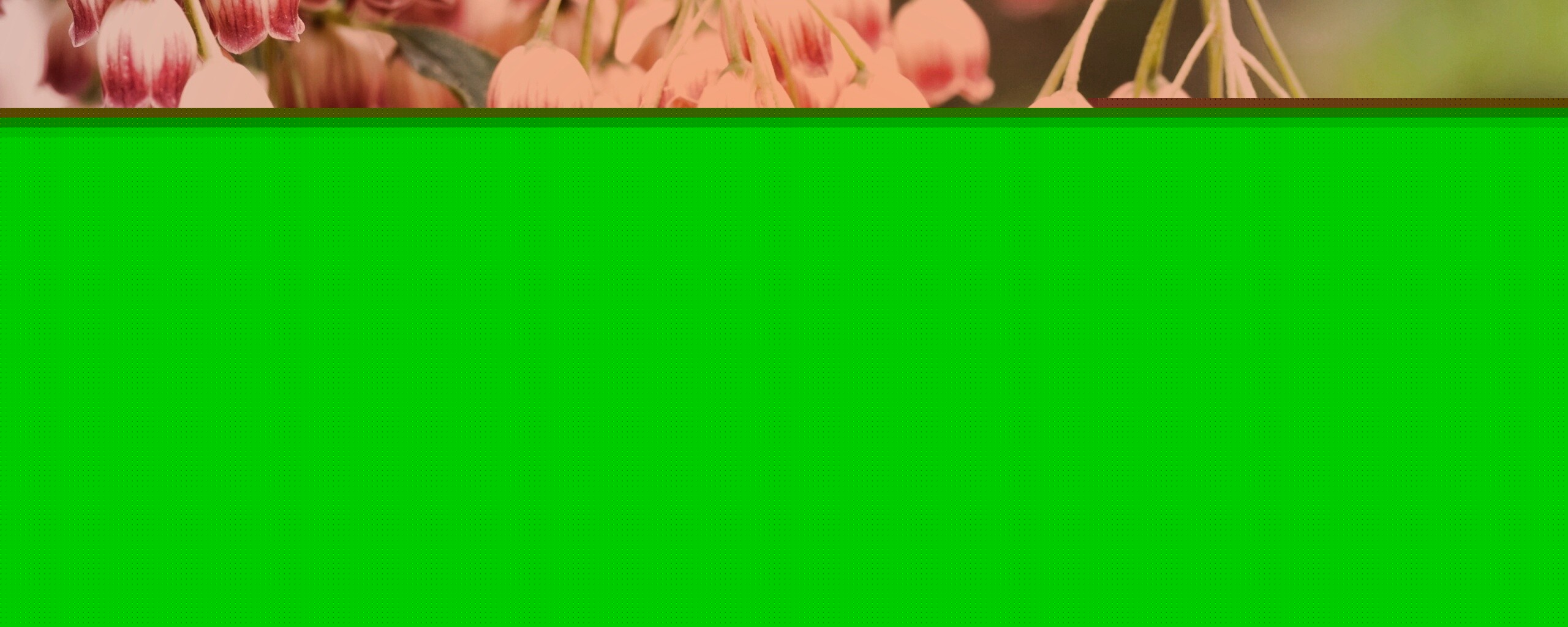 Красные колокольчики обои