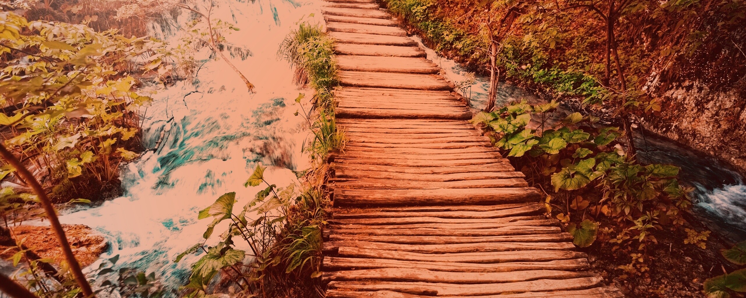 Деревянная дорожка над ручьем обои
