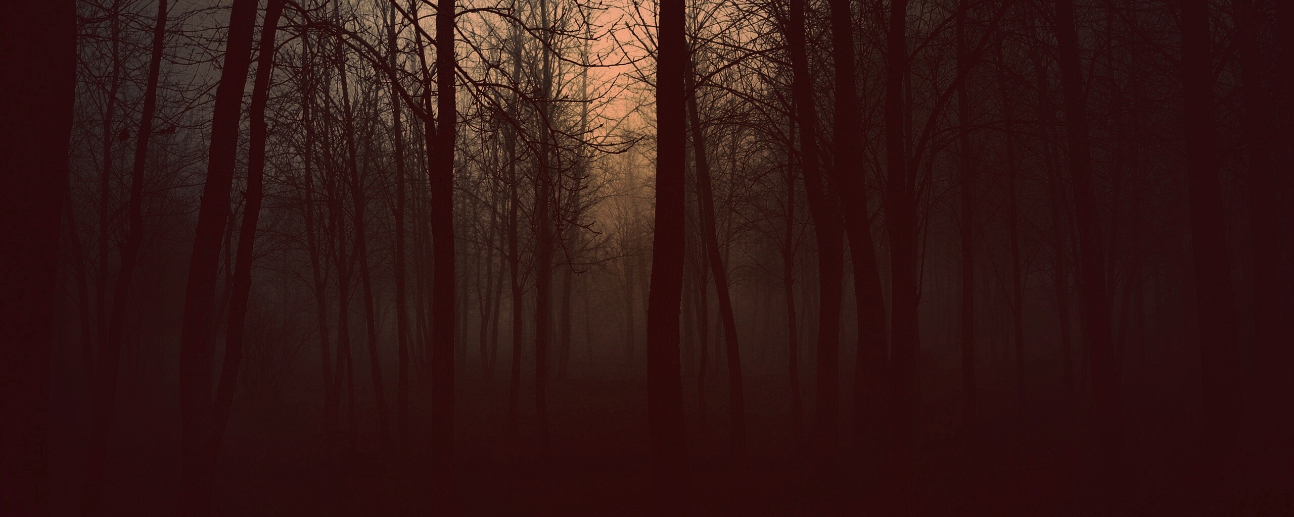 Страшный туманный лес обои