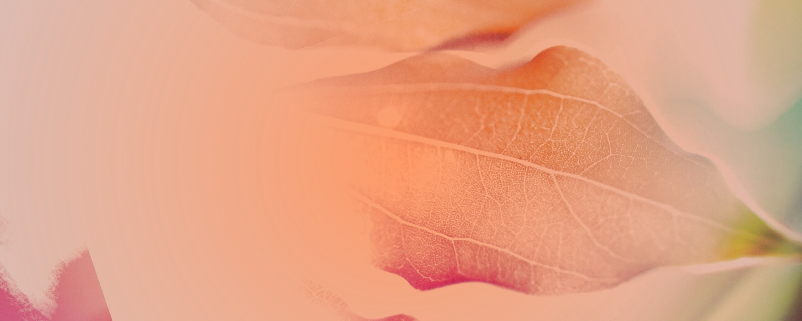 Радужные листья обои