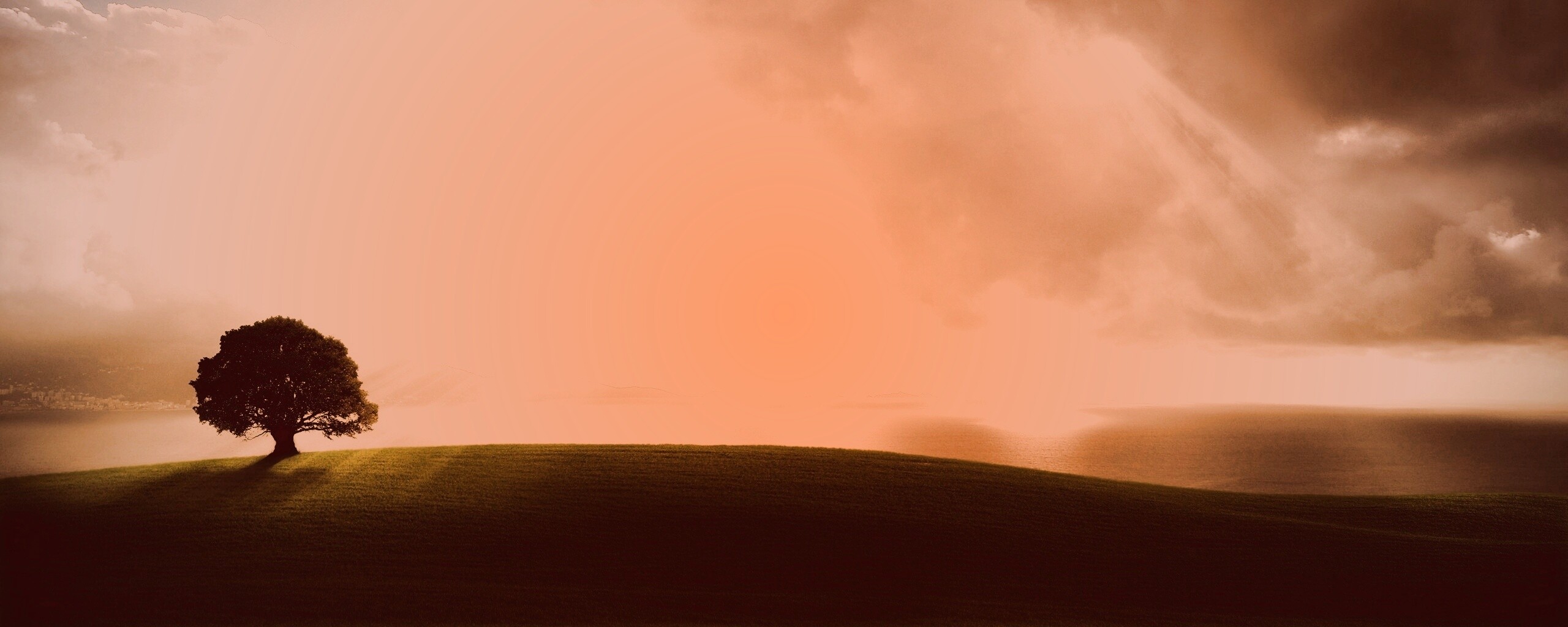Холм и дерево обои