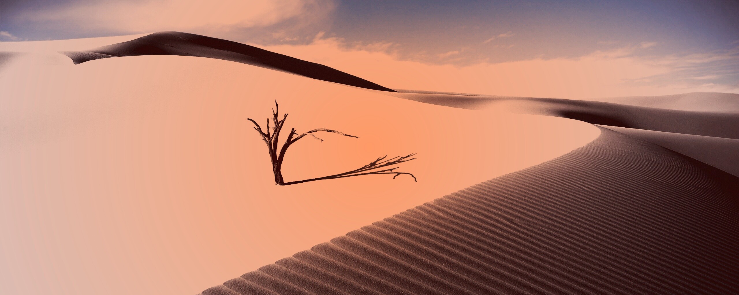 Дюны белого песка обои