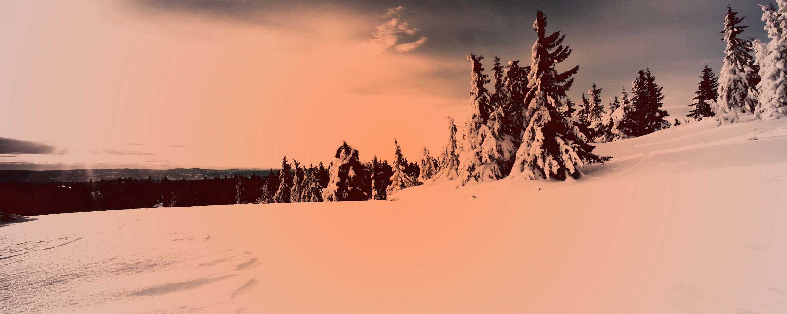 Зимние просторы обои