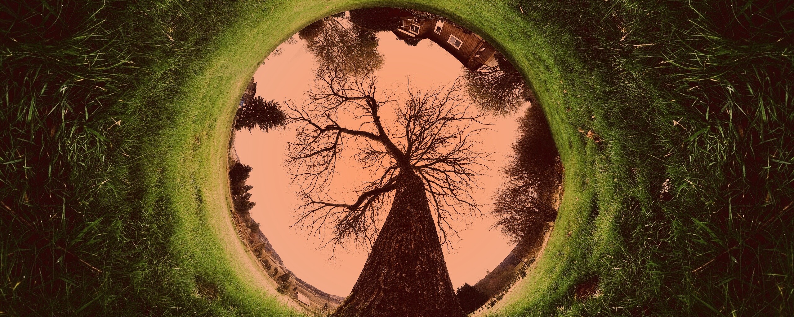 Другой взгляд на мир обои