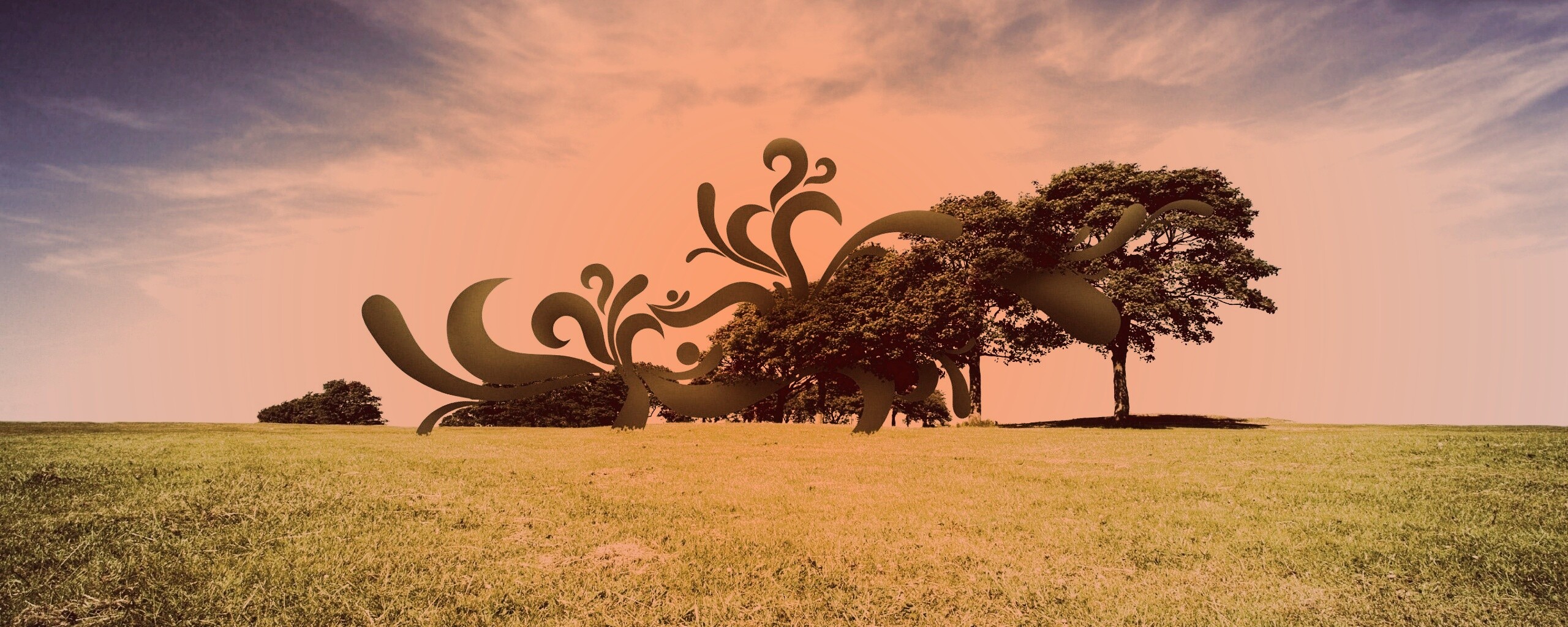 На равнине обои