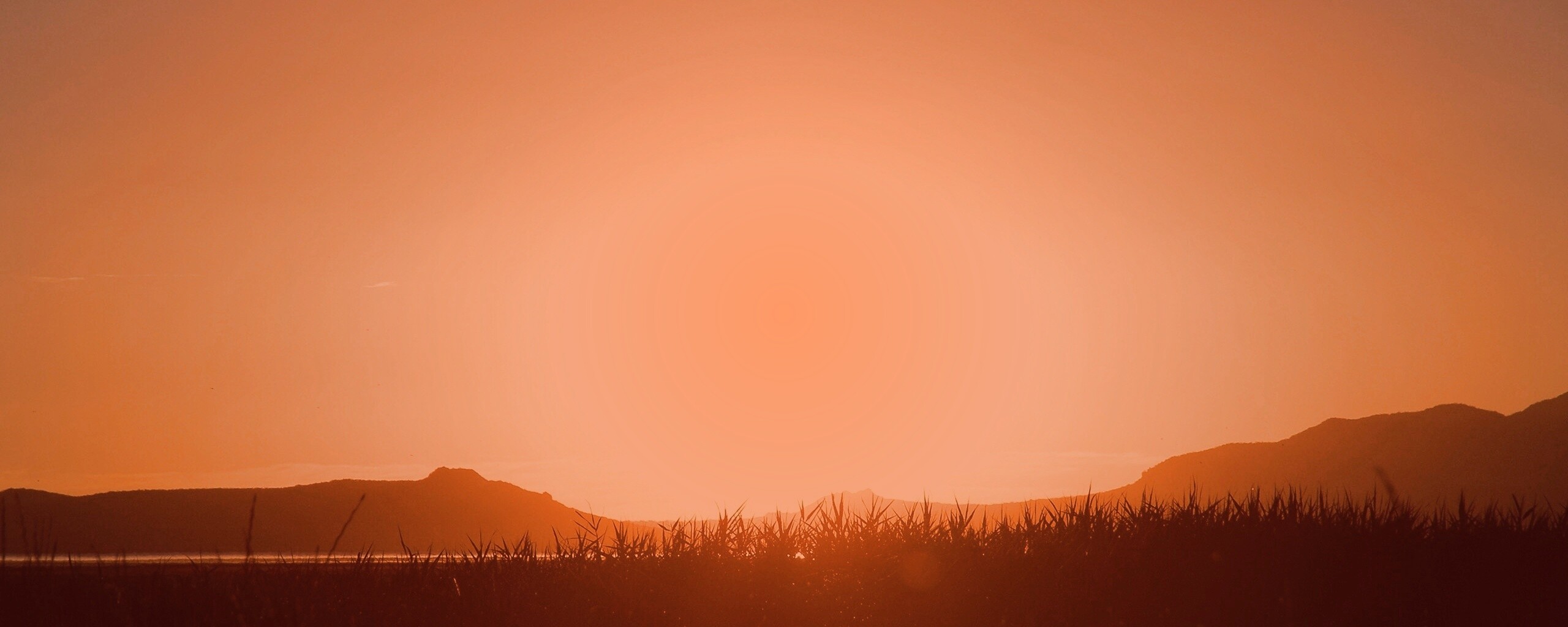 Сельский закат обои