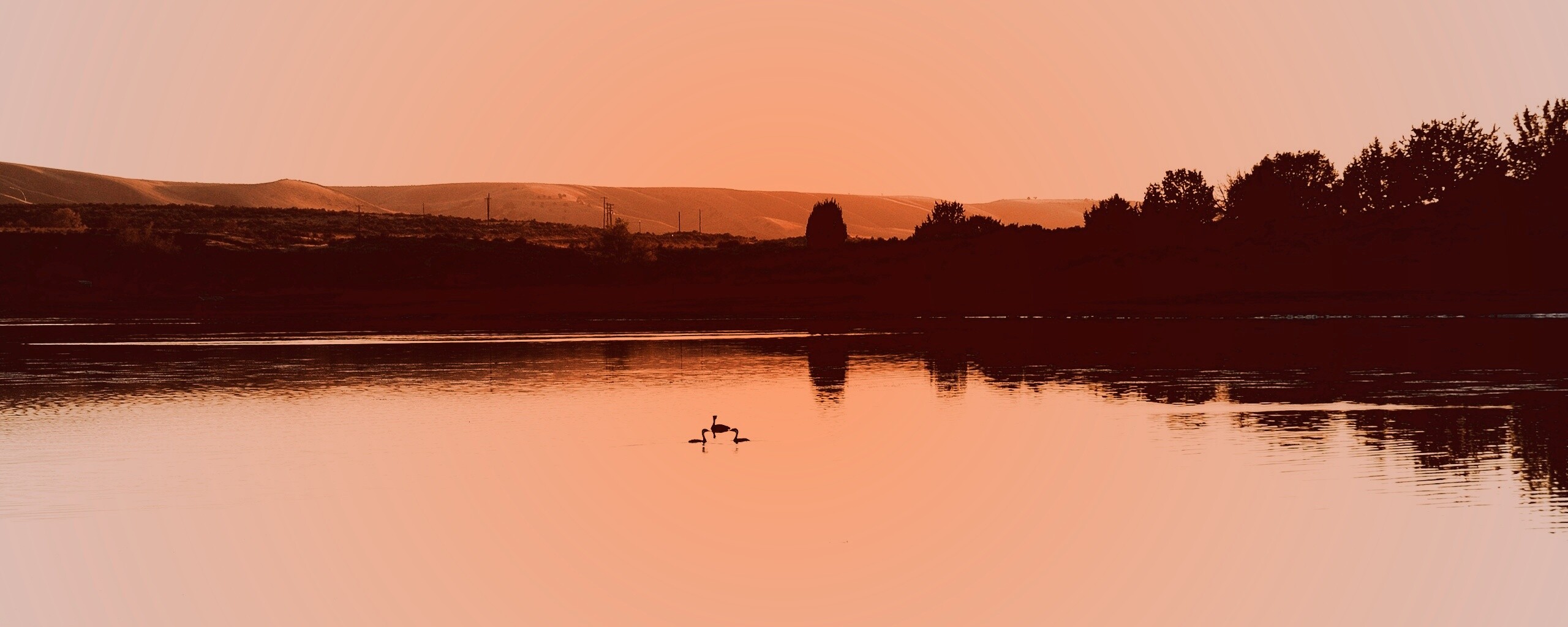 Утиное озеро обои