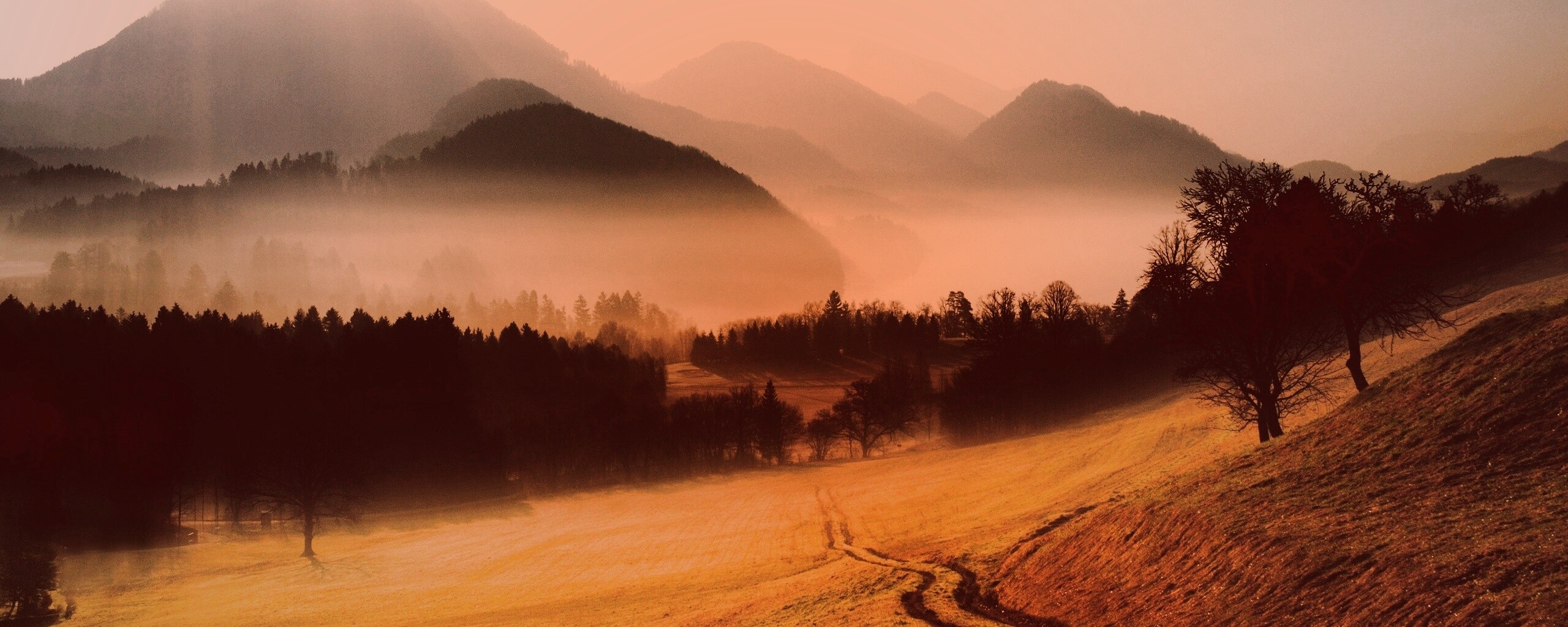 Дорога в туманную долину обои