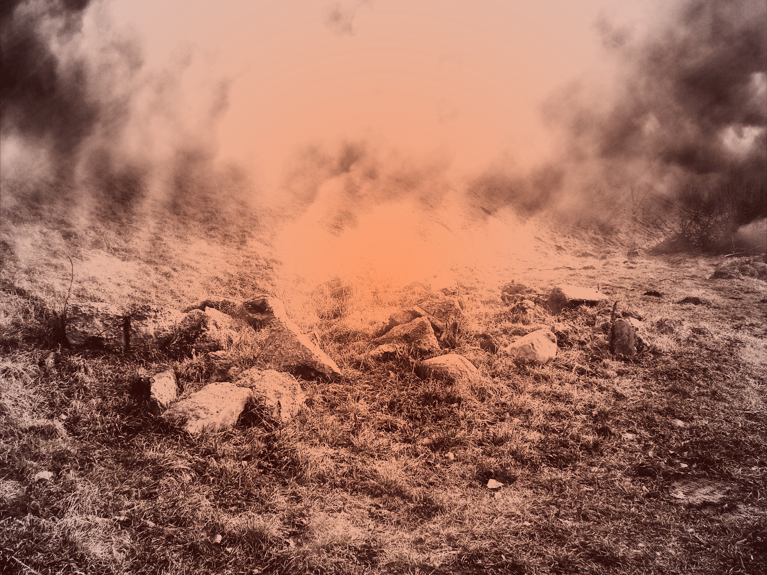 Туман на склоне обои