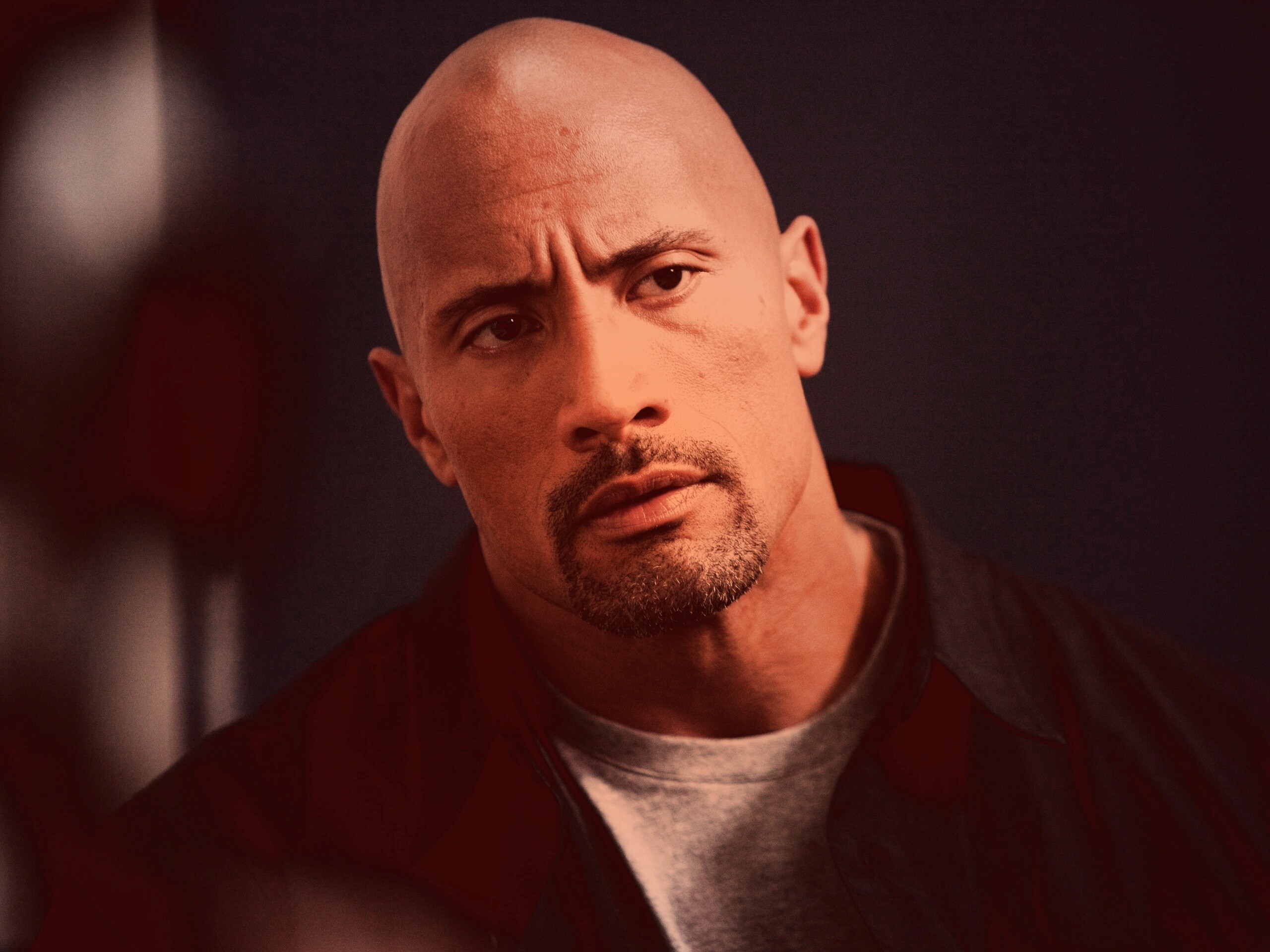 Dwayne johnson, Actor, Bald, Hair, Celebrity обои