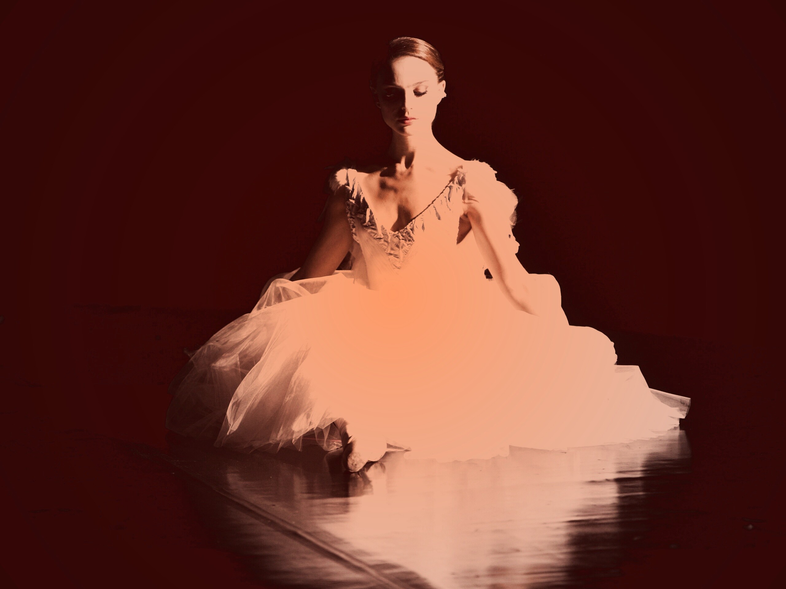 Черный лебедь обои