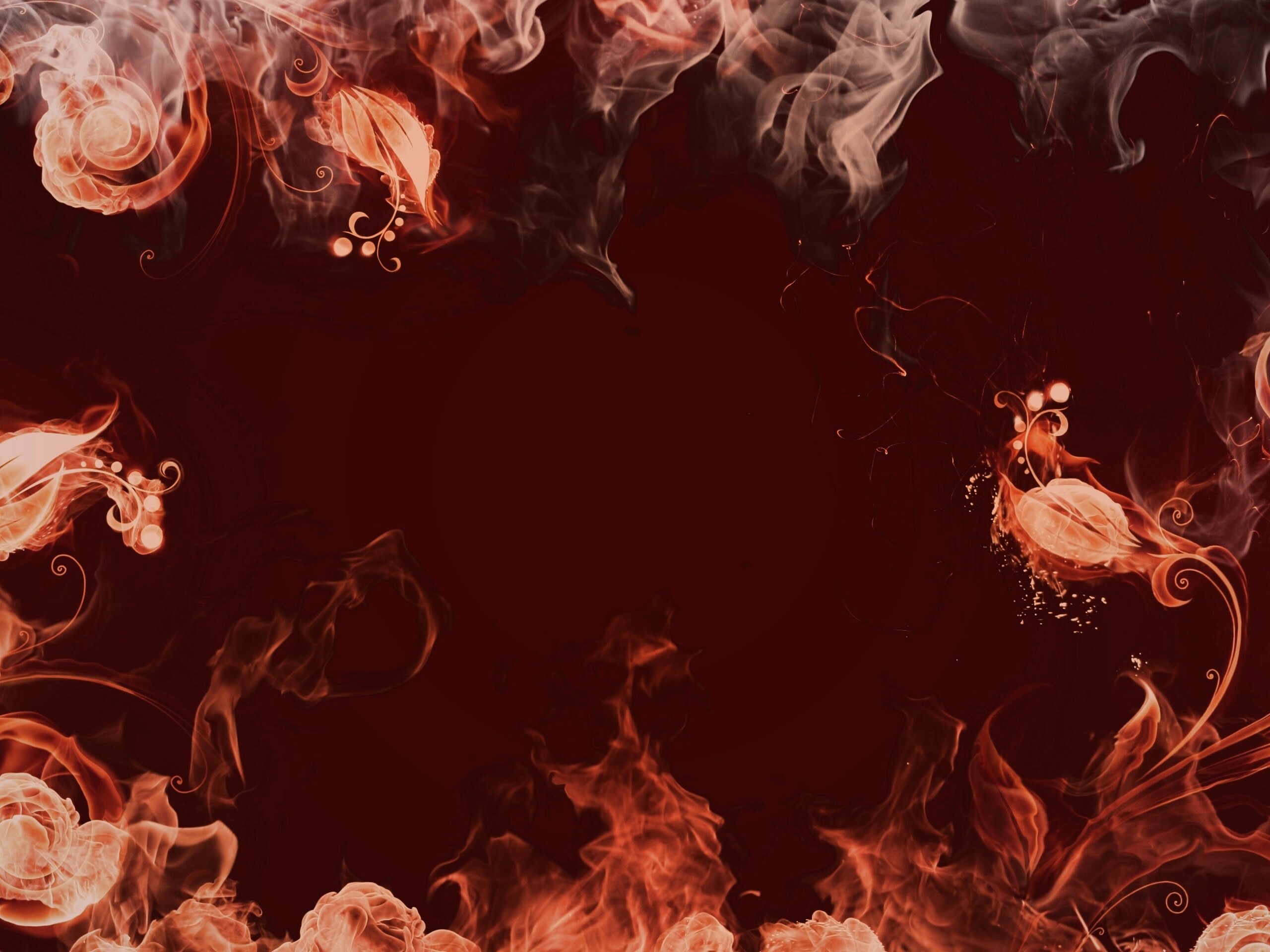 Огненные цветы обои