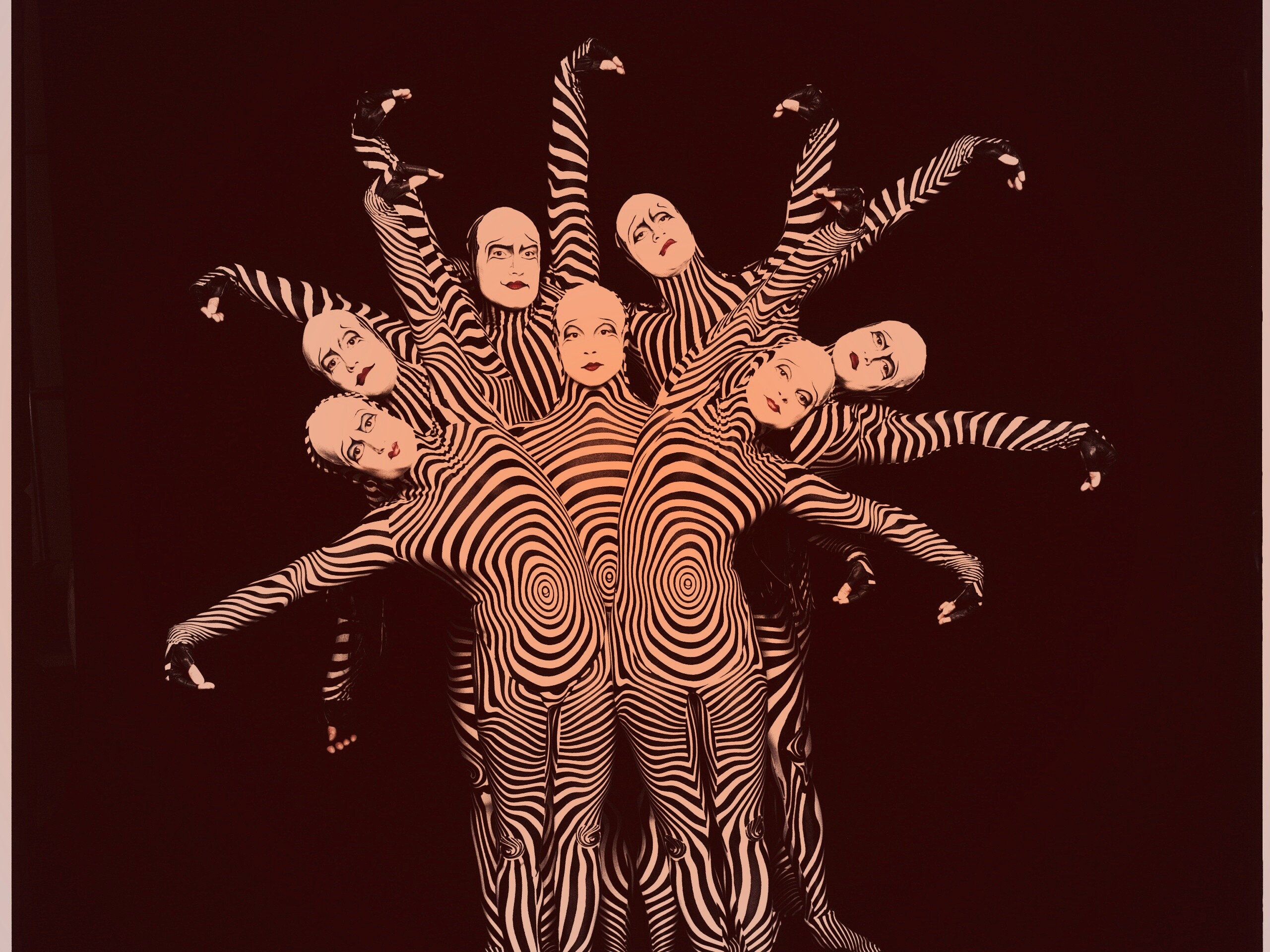 Зеброиды (актеры цирка дю солей) обои