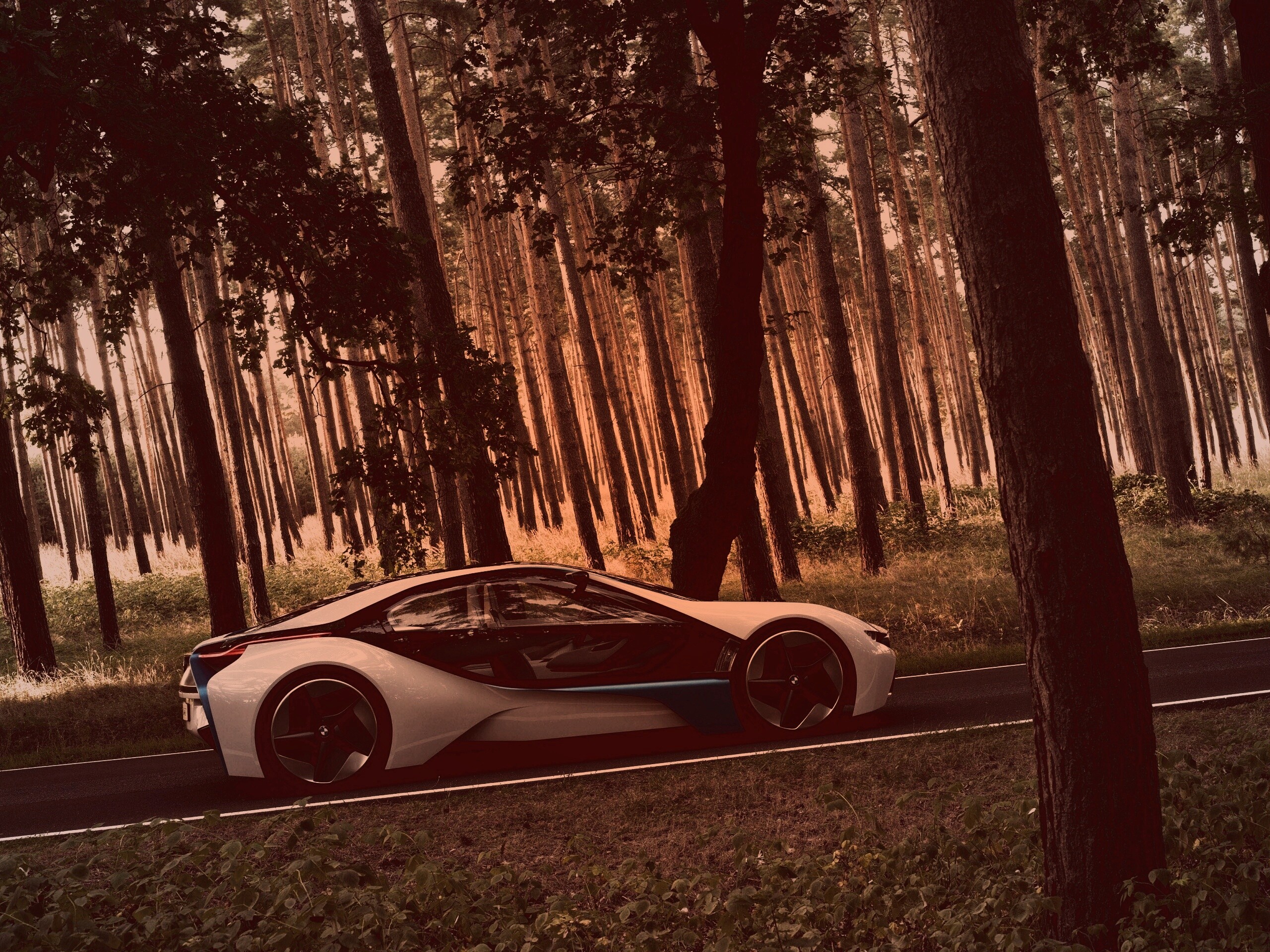 Спорткар BMW на лесной дороге обои