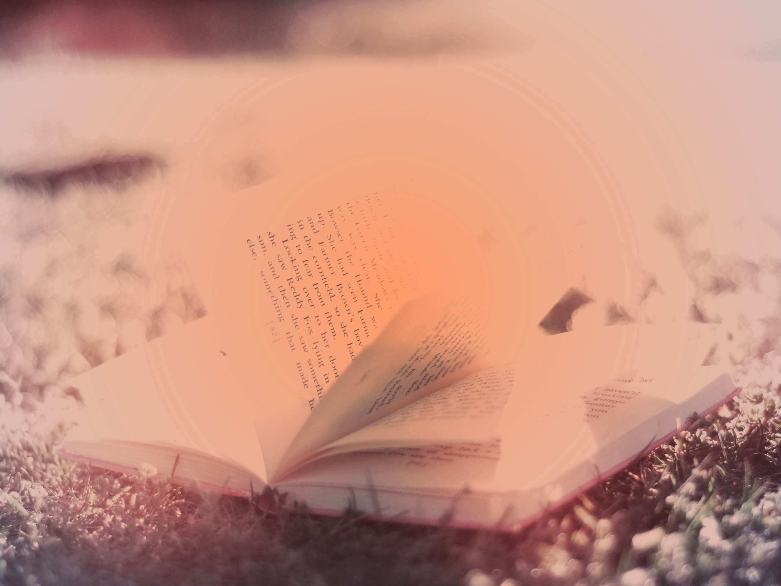 Книга в нежном свете обои