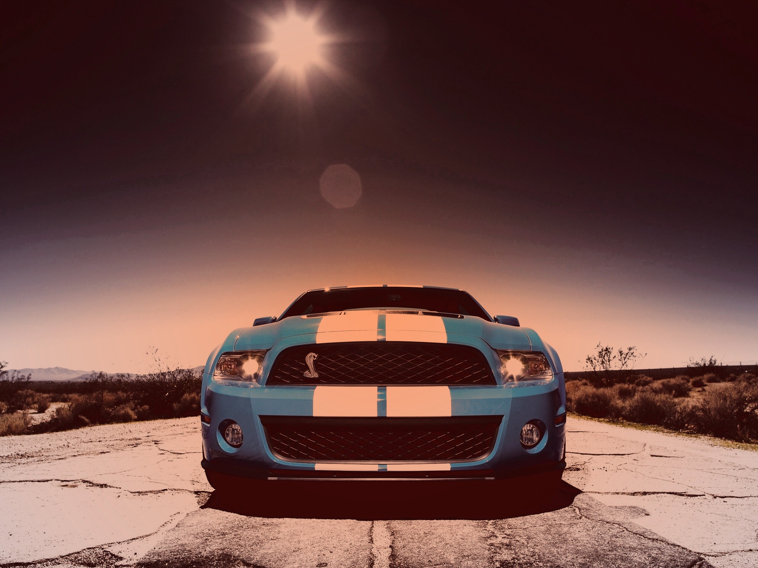 Форд Шелби обои