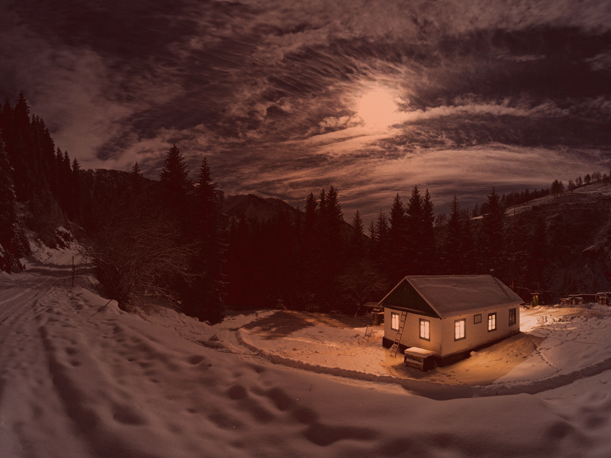 Один в зимнем лесу обои