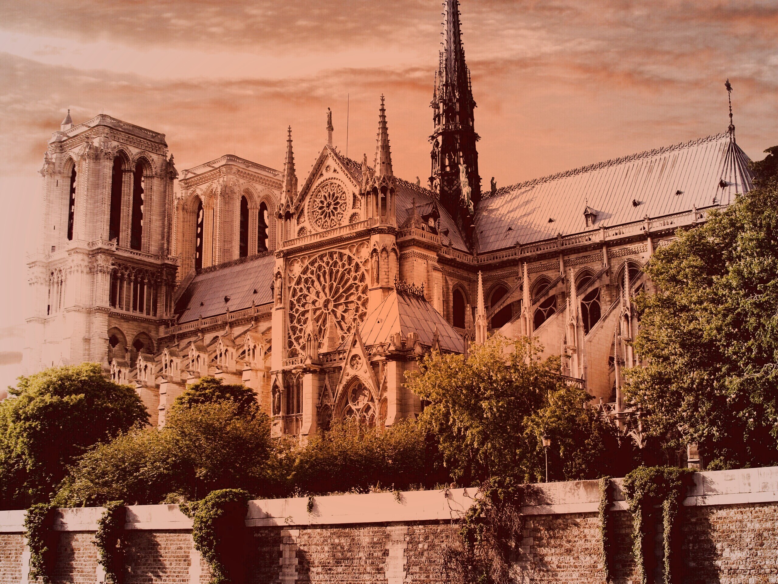 Собор парижской Богоматери обои