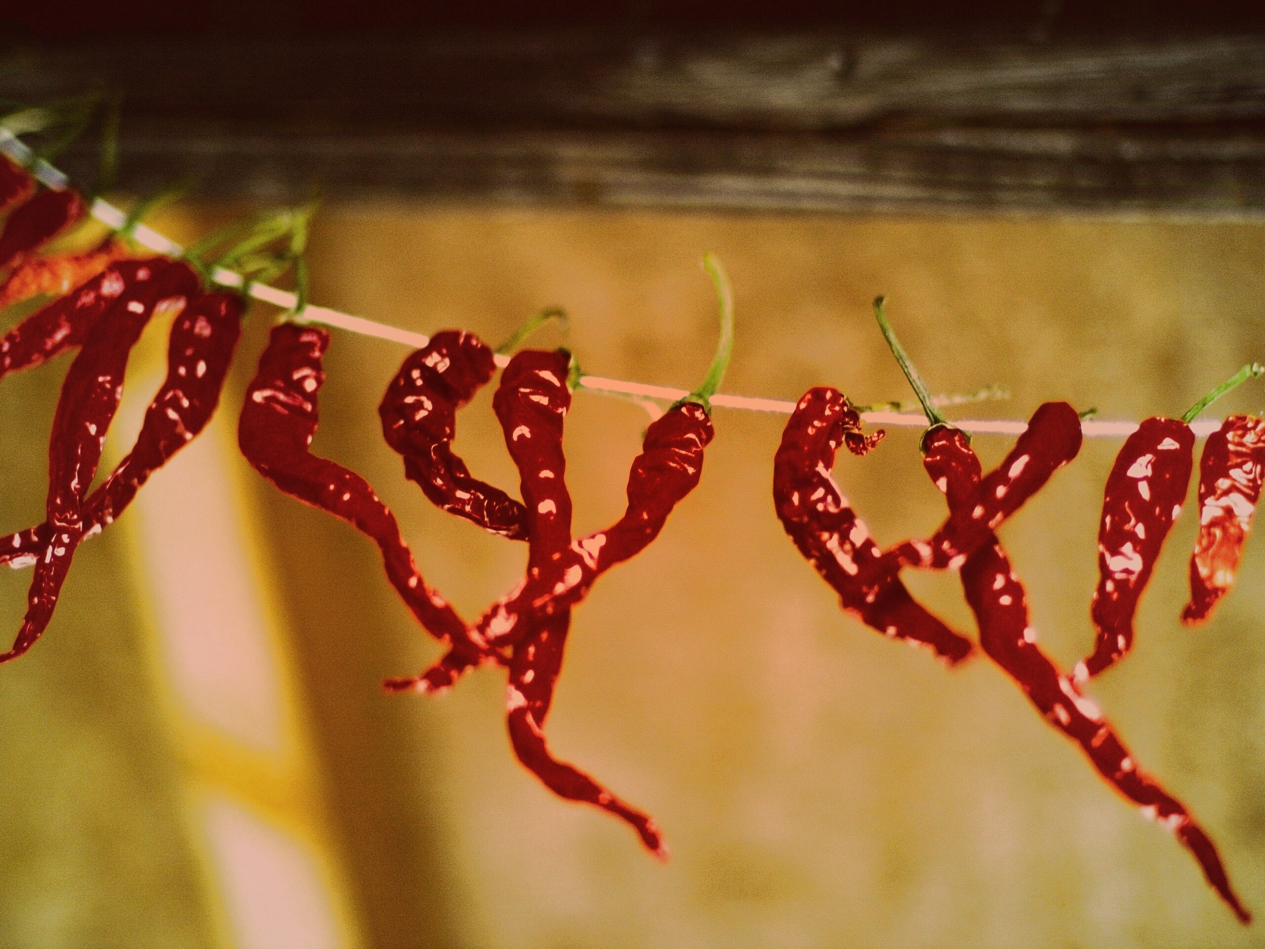 Перчики чили обои