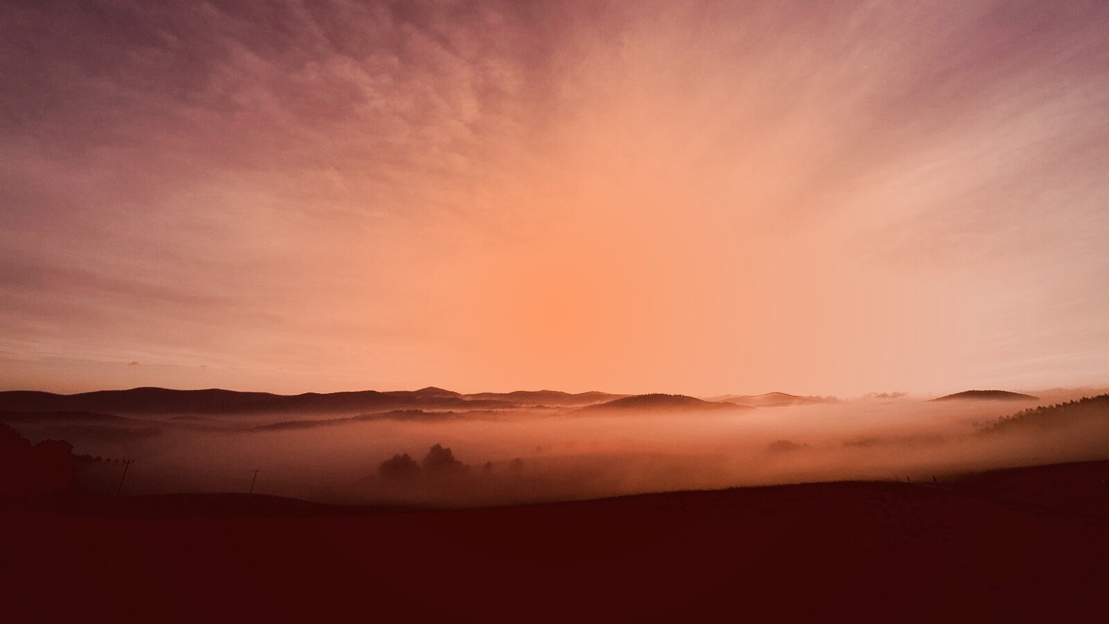 Утренний туман обои