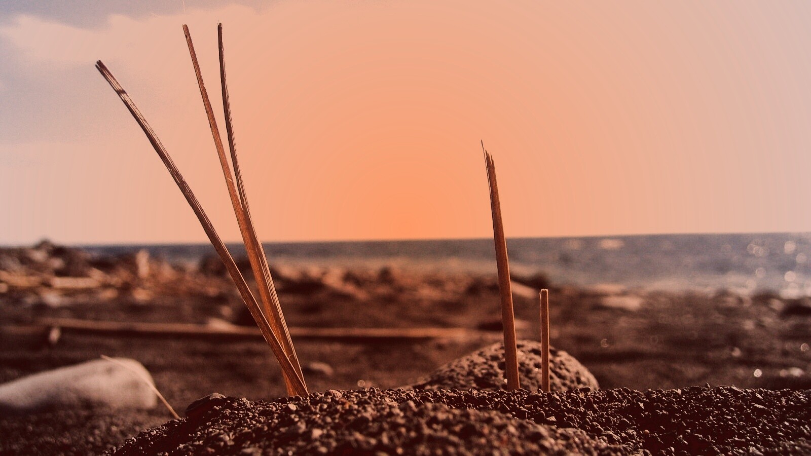 Солома на океанском берегу обои