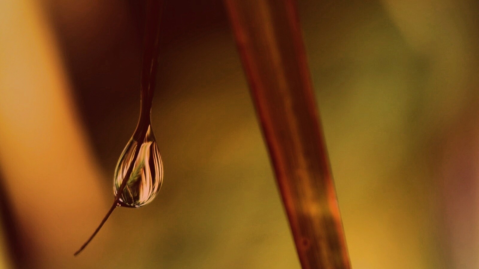 Стекающая капля обои