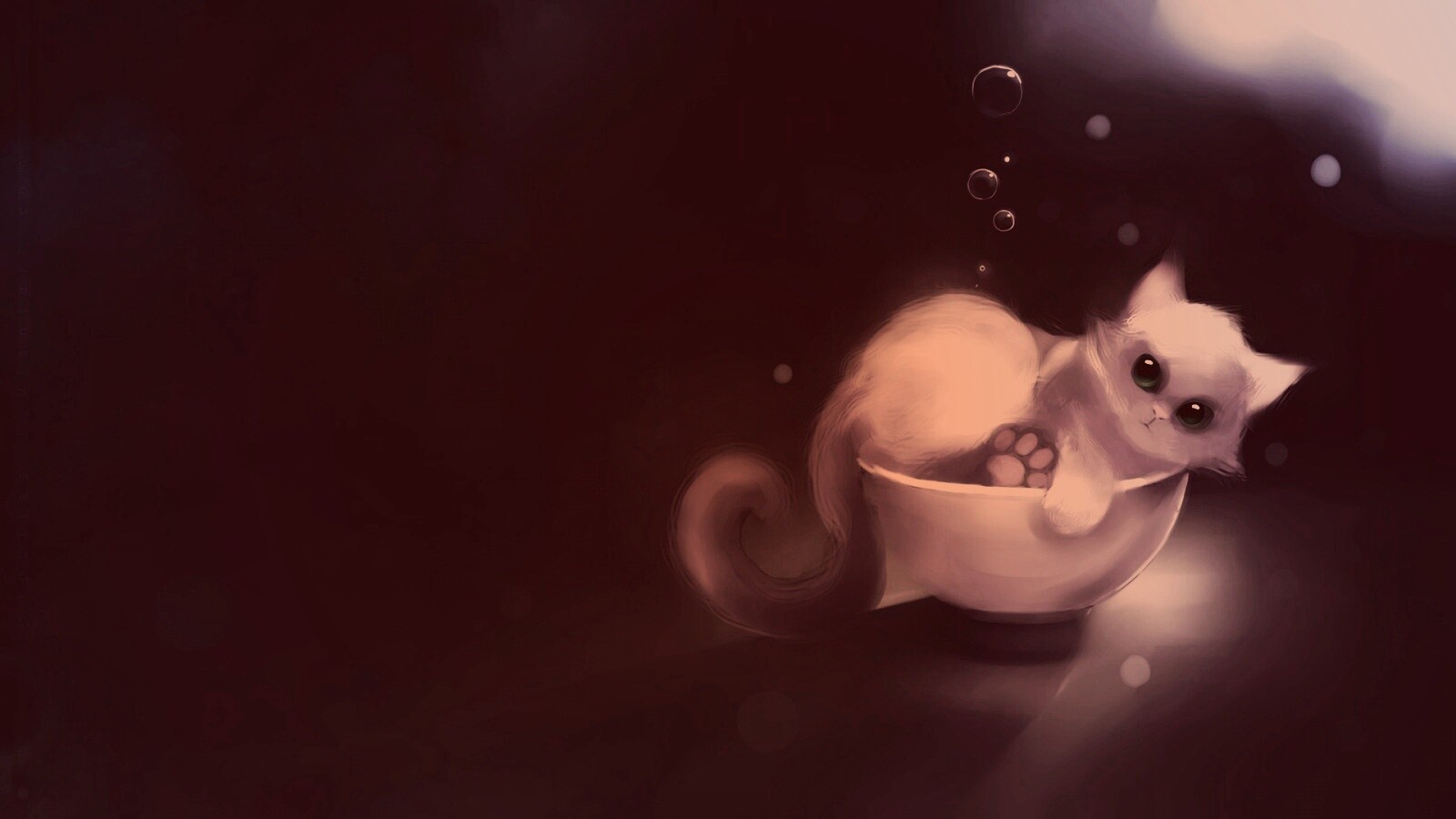 Котёнок в миске обои