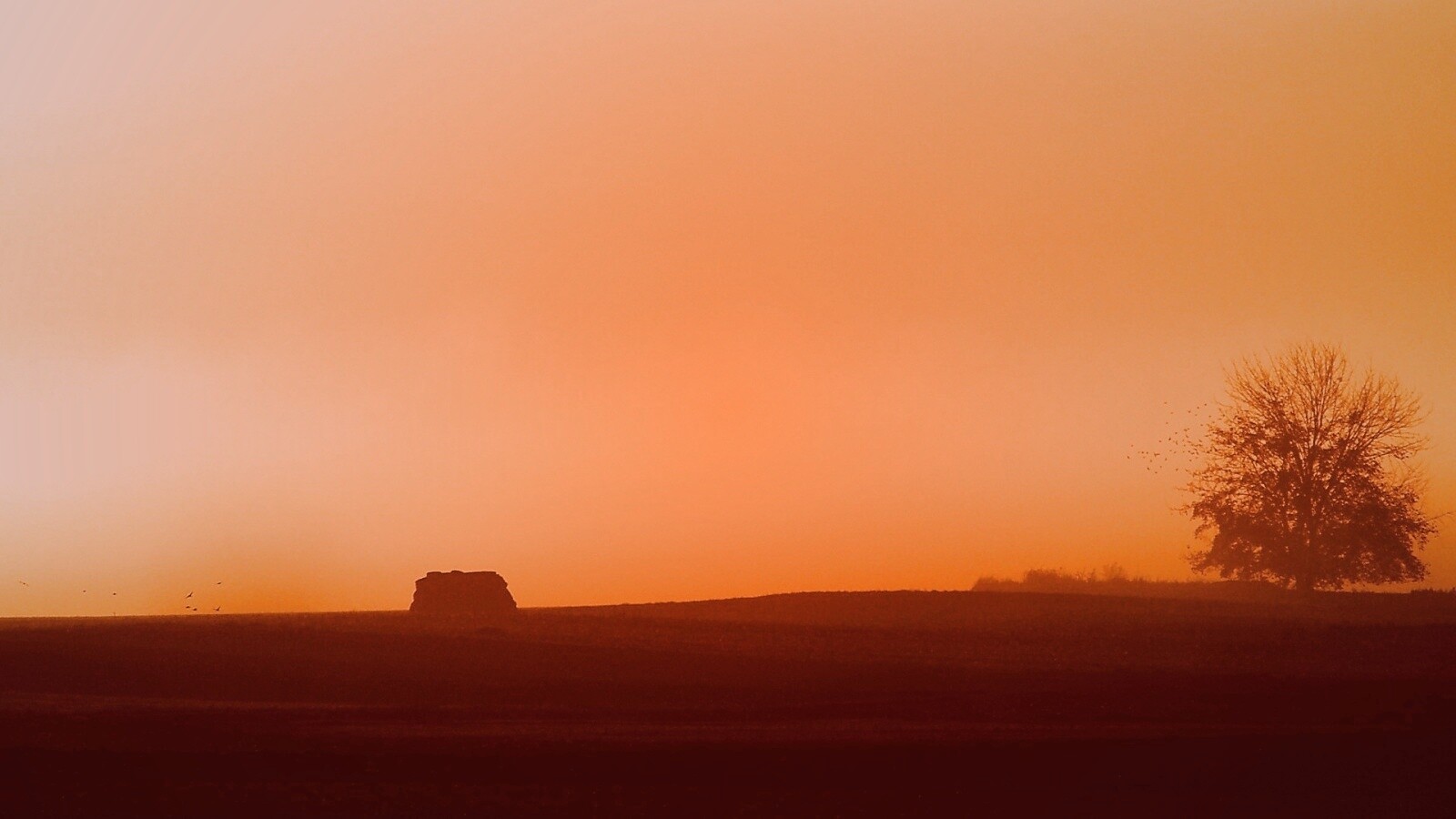 Убранное поле обои