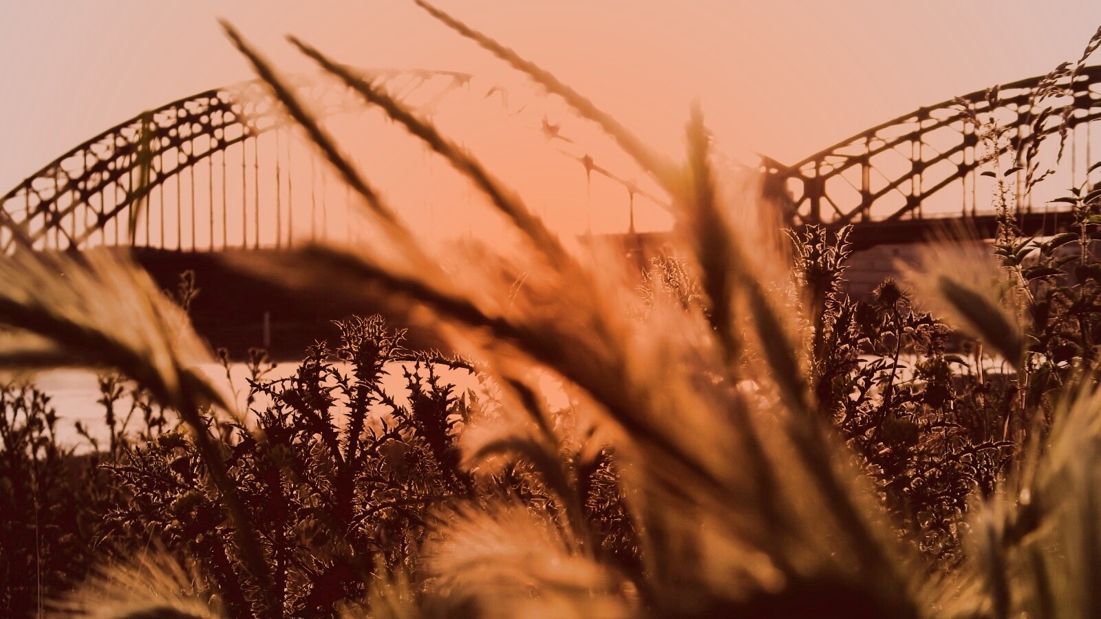 Железнодорожный мост обои