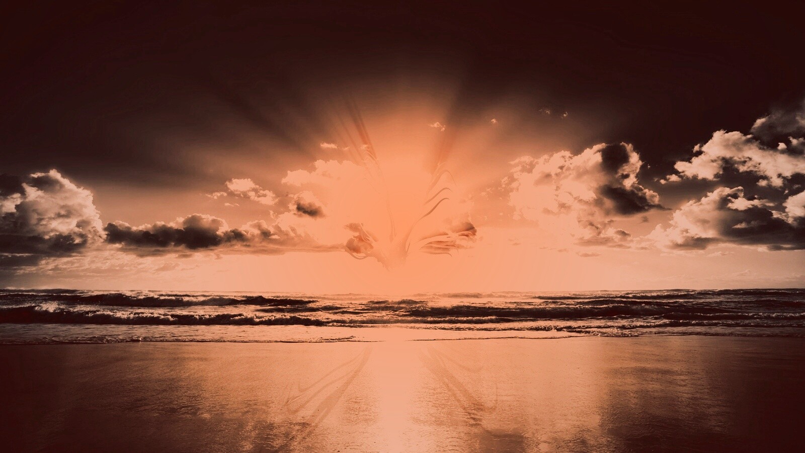 Абстрактные перья на фоне заката обои