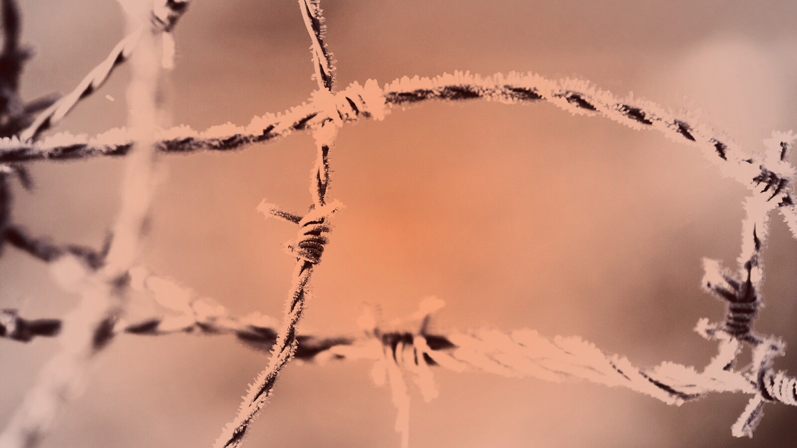 Замерзшая колючая проволока обои