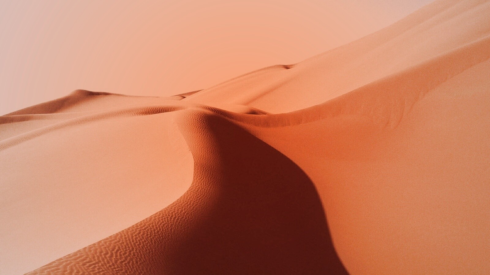 Барханы в пустыне обои