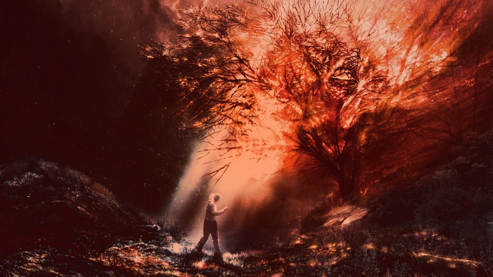 Горящее дерево обои