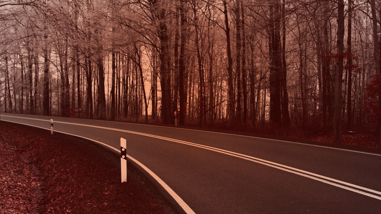 Дорога в осеннем лесу обои