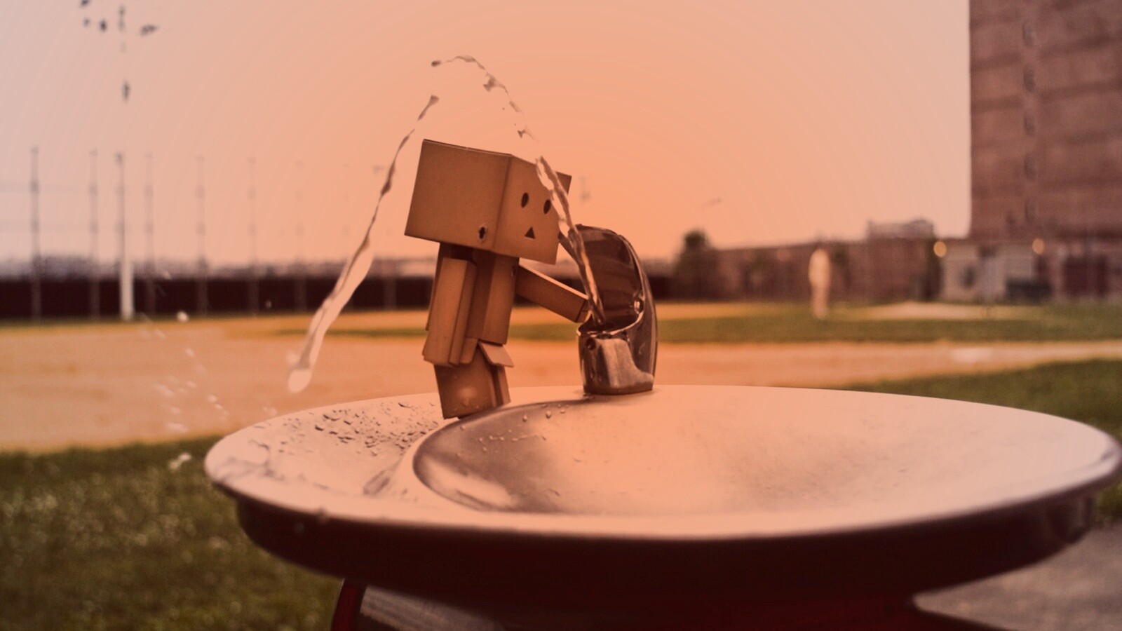 Дандо пьет в воду из фонтанчика обои