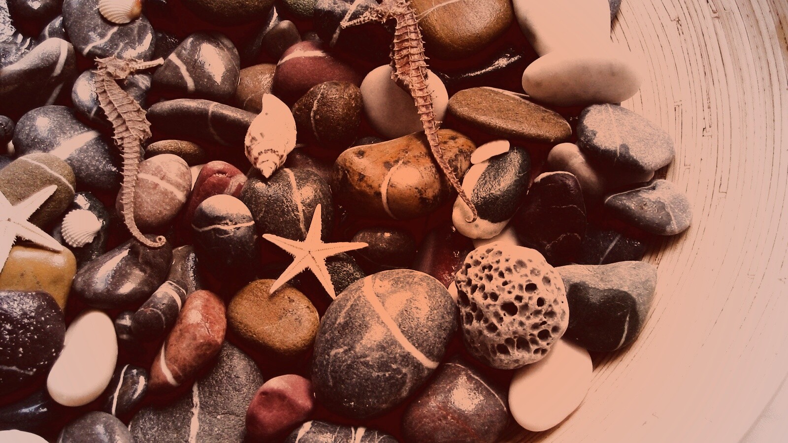 Морские камешки и фауна обои