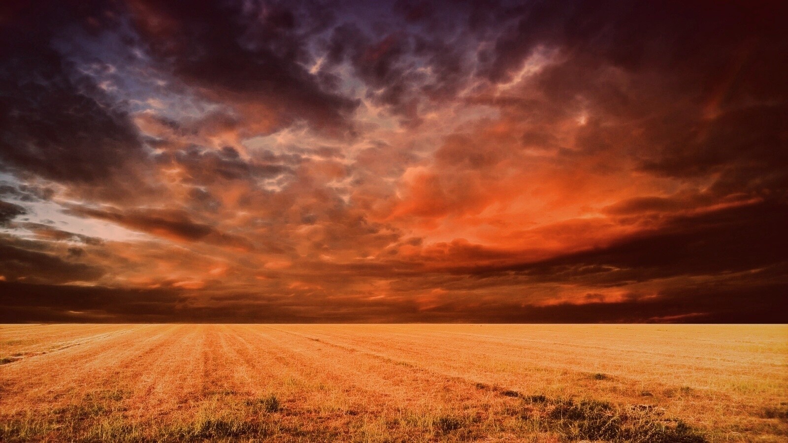 Тучи над желтым полем обои