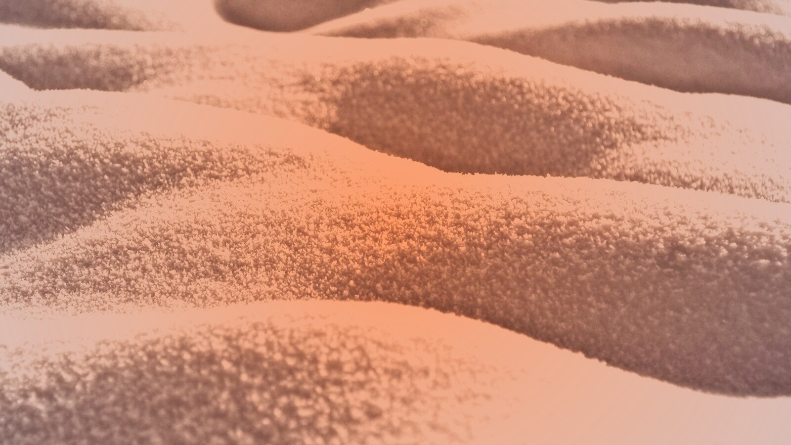 Песчаные бугры обои