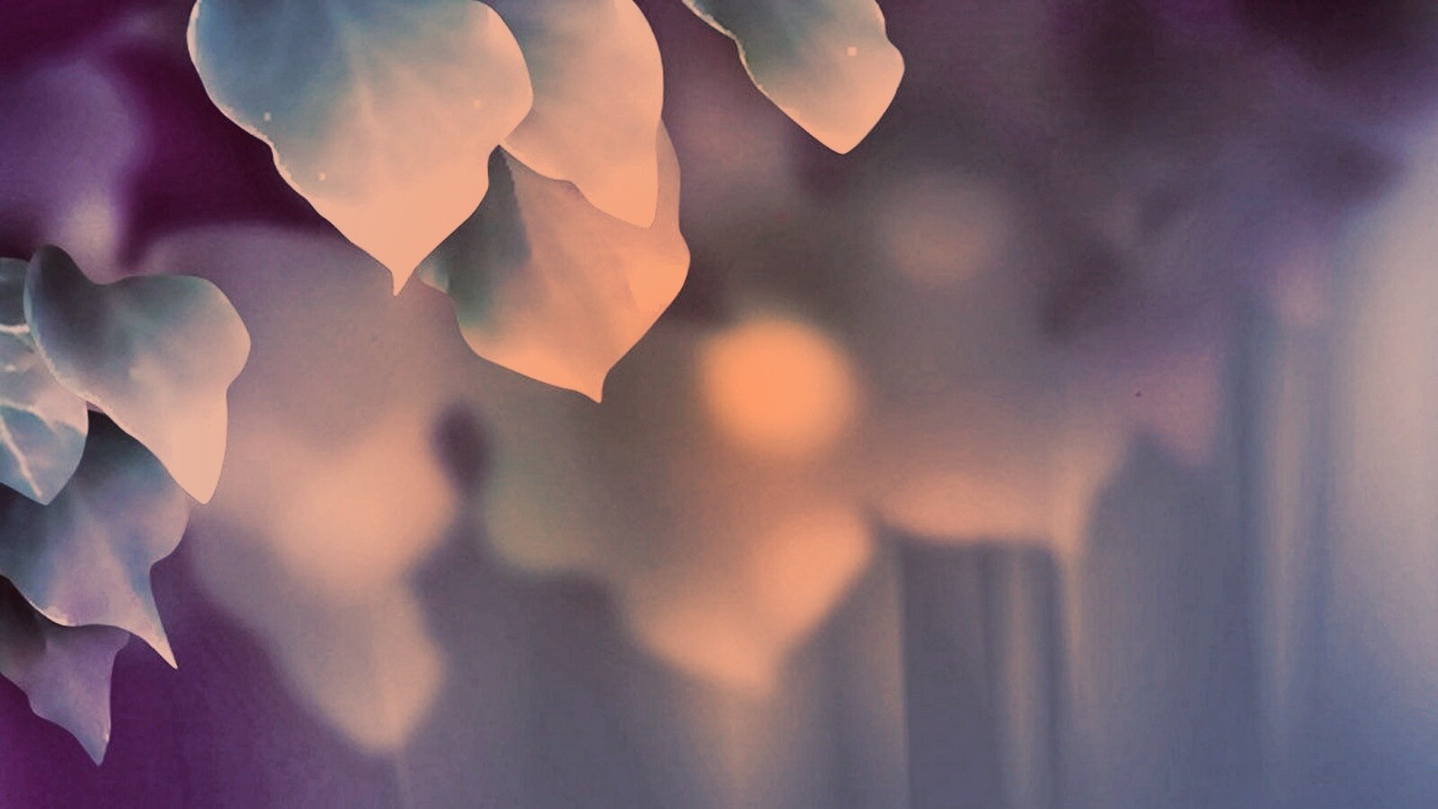 Синие листья обои