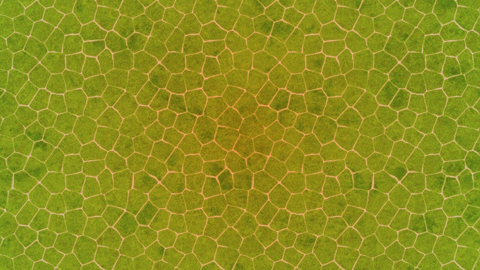 Зелёные сегменты обои