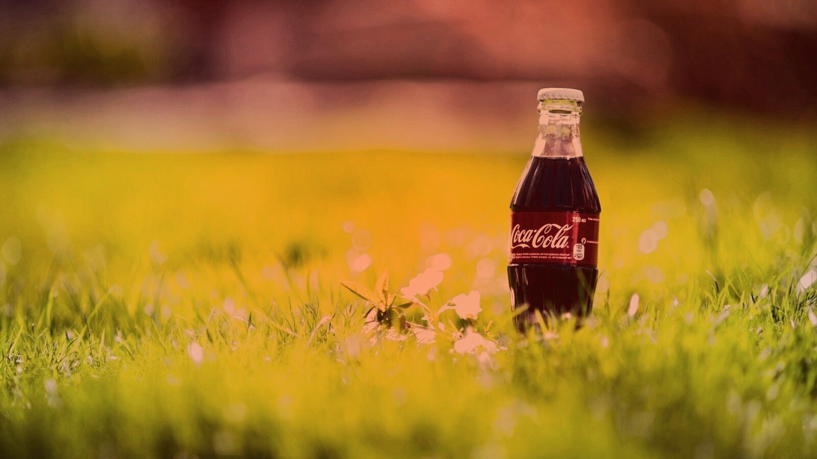 Кока-Кола на траве обои