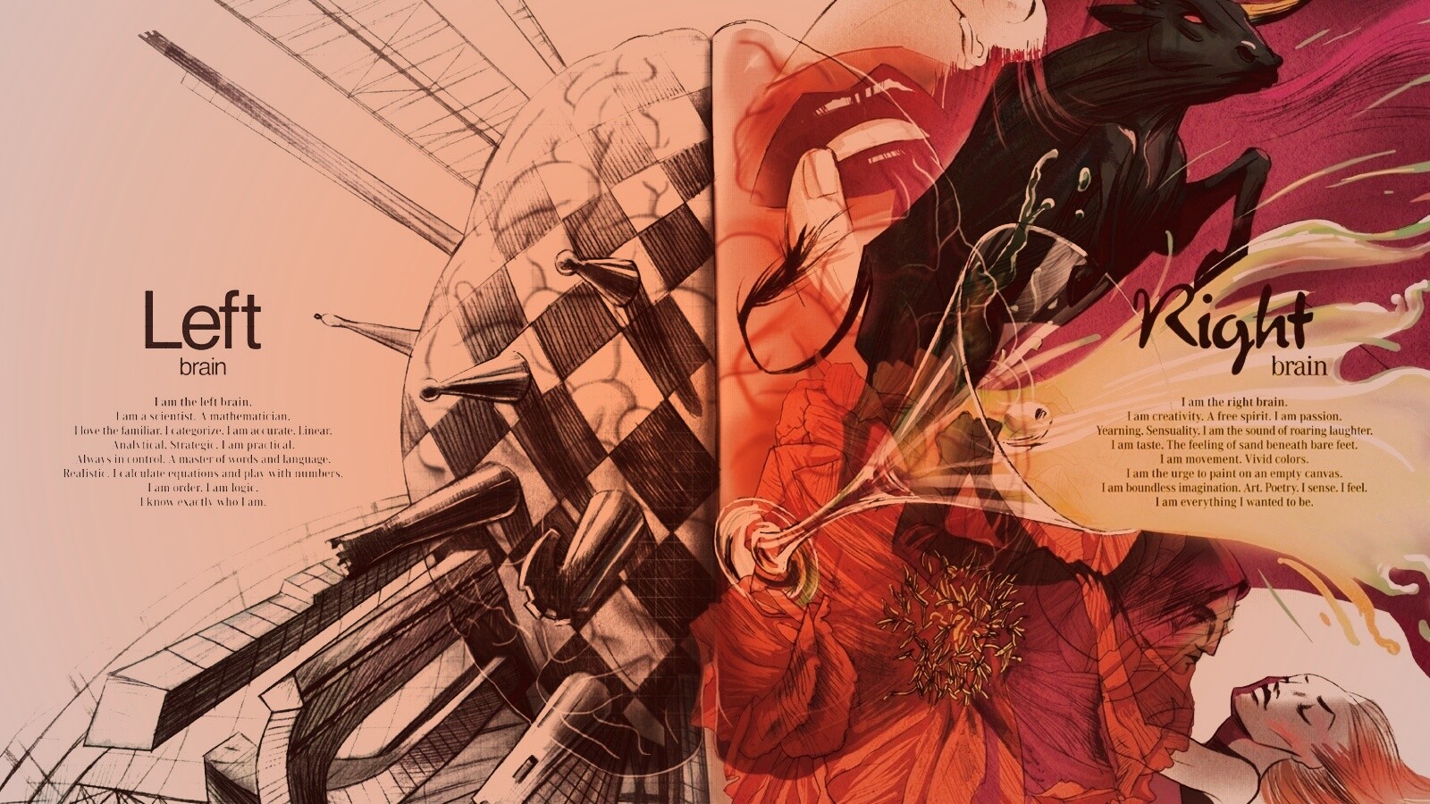 Левая и правая часть мозга обои