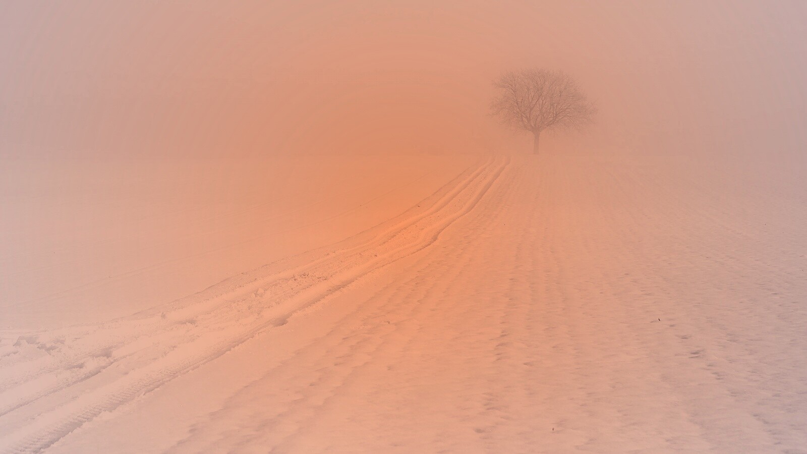 Заснеженное поле обои