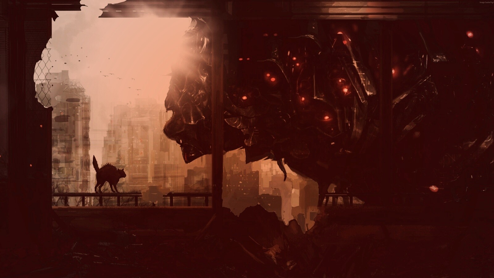 Кошкино удивление обои